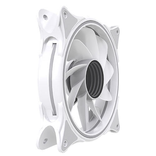 INFINITY01RB-WHT
