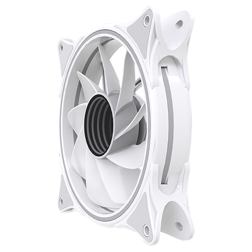 INFINITY01RB-WHT